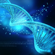 Diseases caused by a single gene might be more common than we think, a new study says.